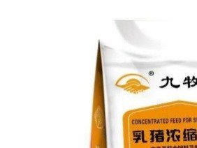 网络专业化服务的同时