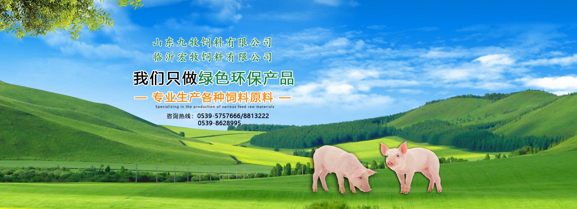 成立于2015年